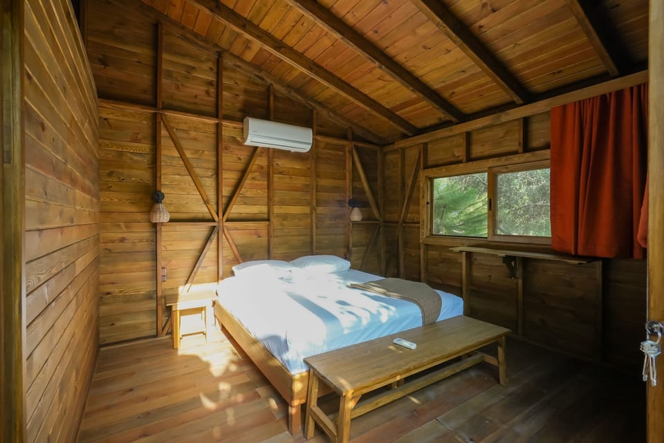 Design Tree House | Free WiFi