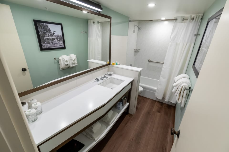 Premier Room, 1 King Bed | Bathroom | Combined shower/tub, free toiletries, hair dryer, towels