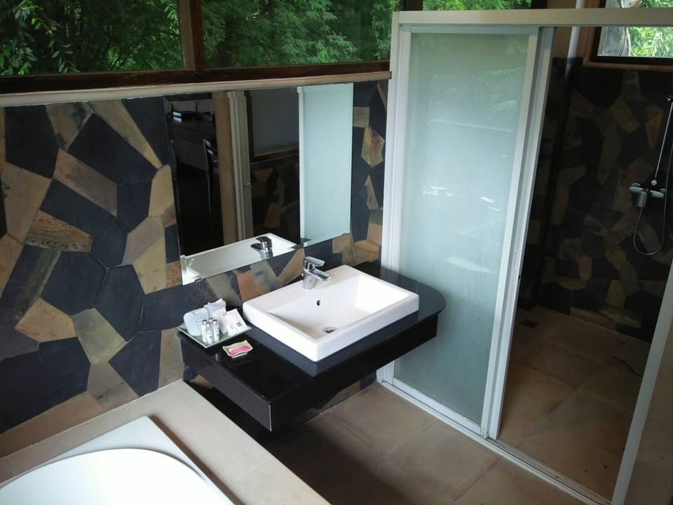 Deluxe Room | Bathroom | Towels
