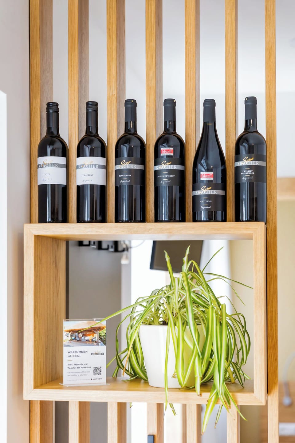 Apartment, 2 Bedrooms (Fuchsenloch) | Living area | 100-cm flat-screen TV with satellite channels, books, heated floors