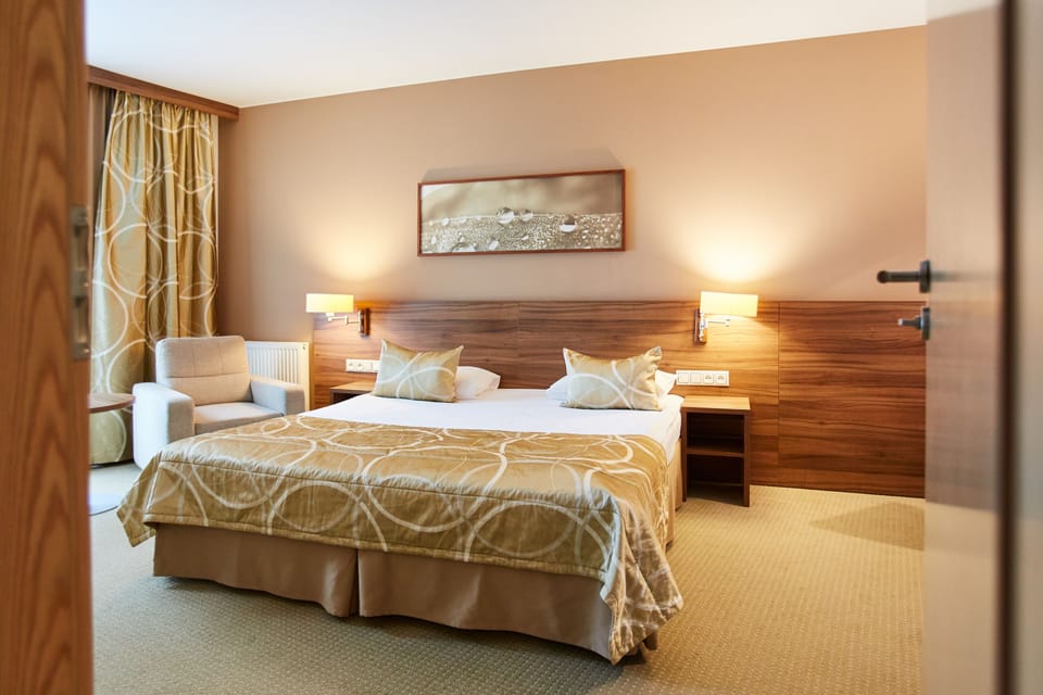 Business Double Room | Desk, iron/ironing board, cribs/infant beds, rollaway beds