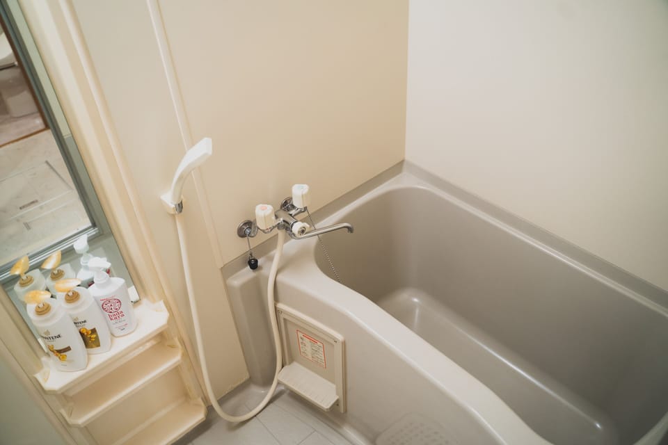 Apartment | Bathroom | Separate tub and shower, free toiletries, hair dryer, slippers