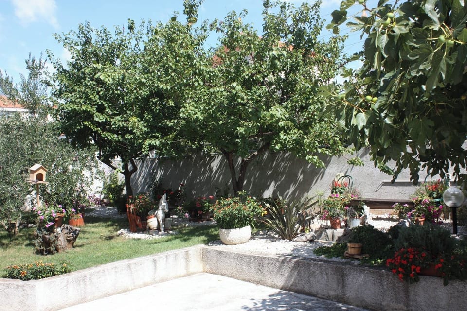 Apartment, 1 Bedroom, Terrace, Garden View | Garden