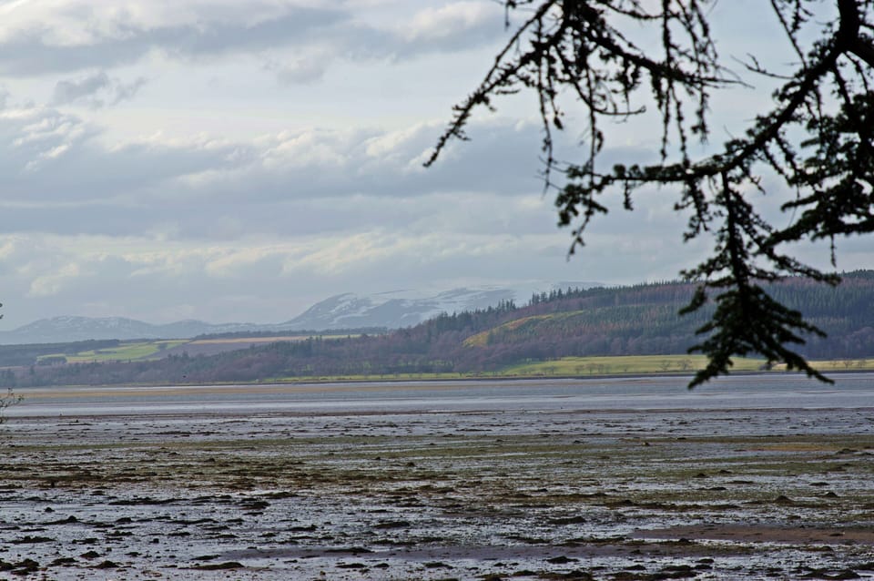 Land view from property