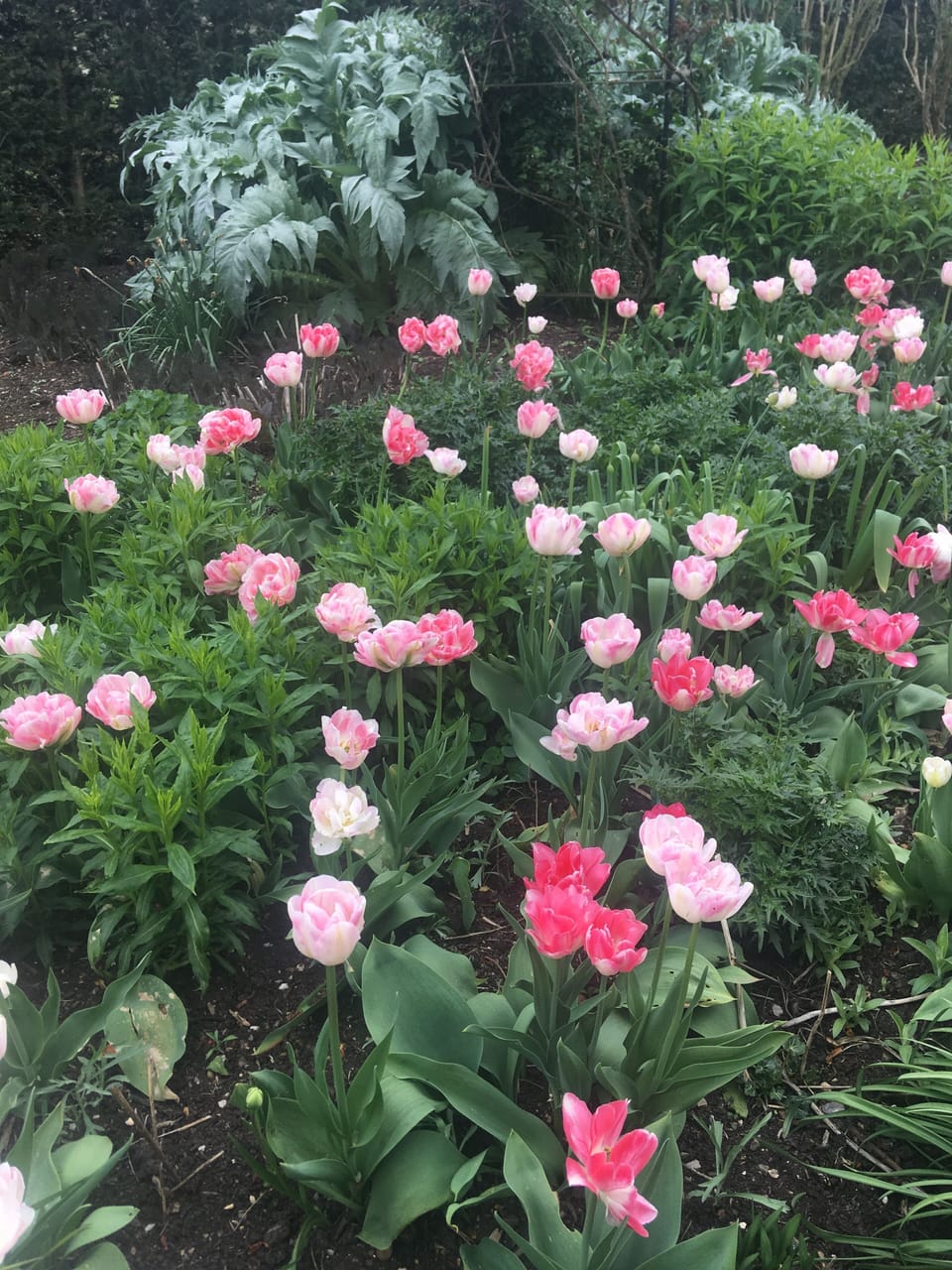 Chalet | Property grounds