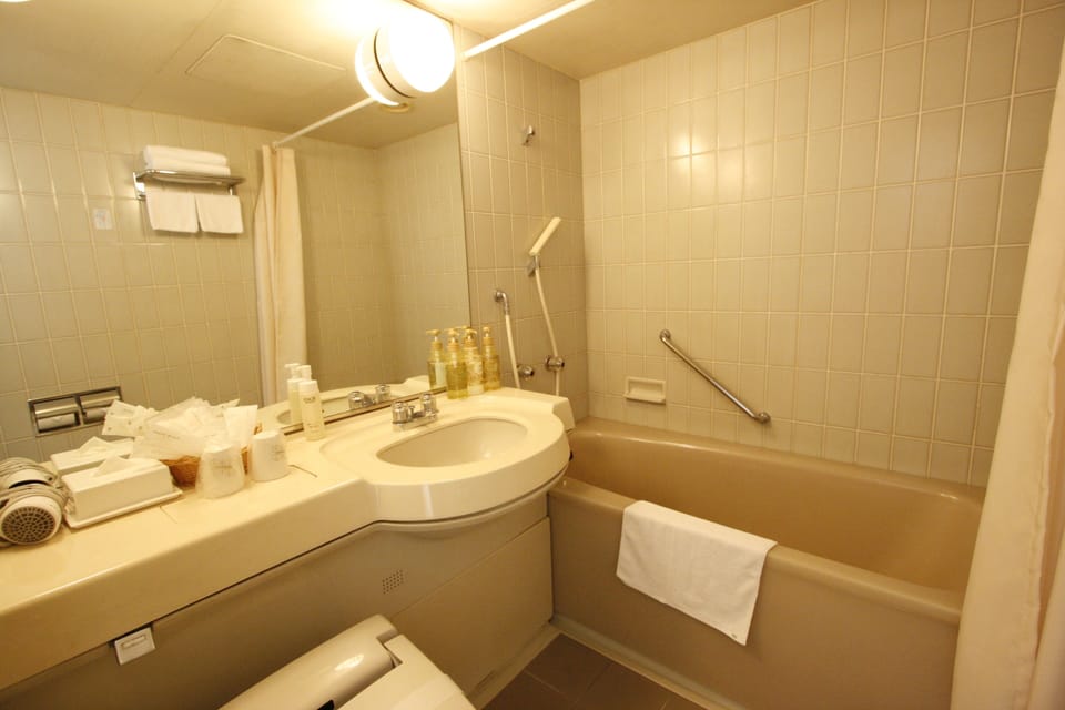 Combined shower/tub, free toiletries, hair dryer, slippers