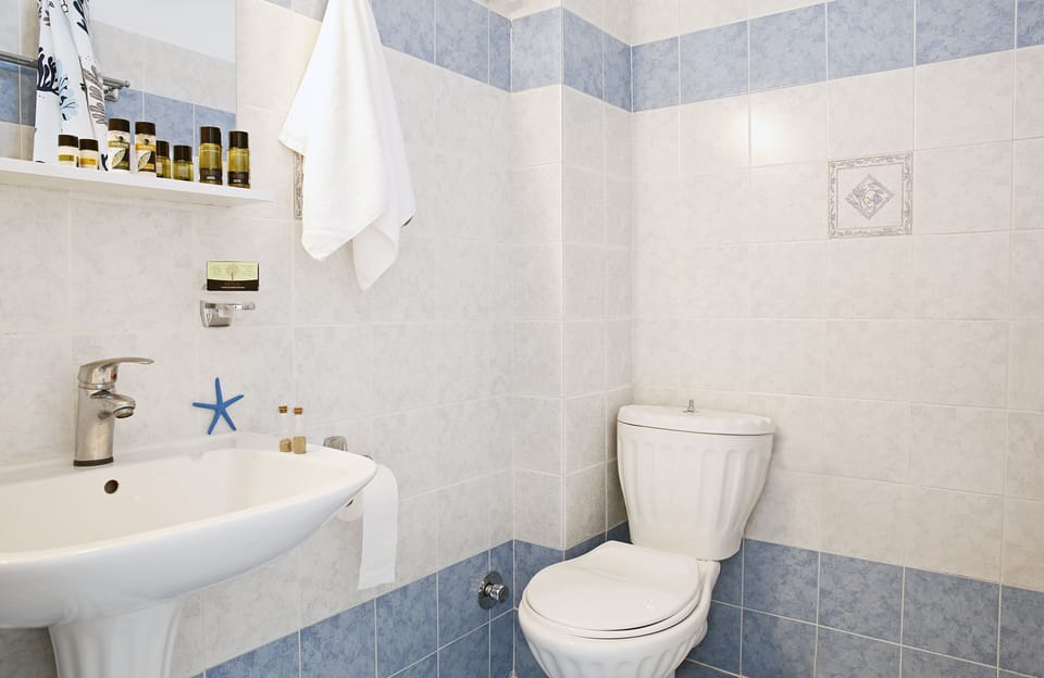 Economy Double Room | Bathroom | Shower, rainfall showerhead, designer toiletries, hair dryer