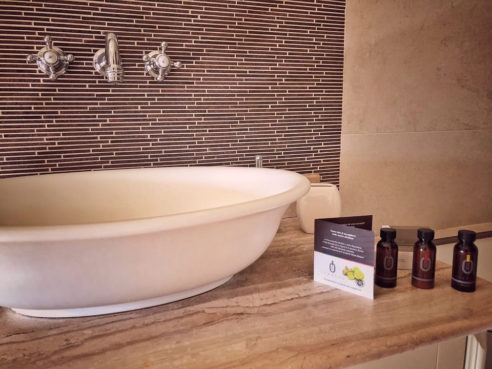 Deluxe Double or Twin Room | Bathroom | Jetted tub, hydromassage showerhead, free toiletries, hair dryer