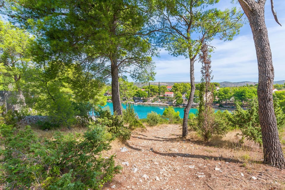 Water view