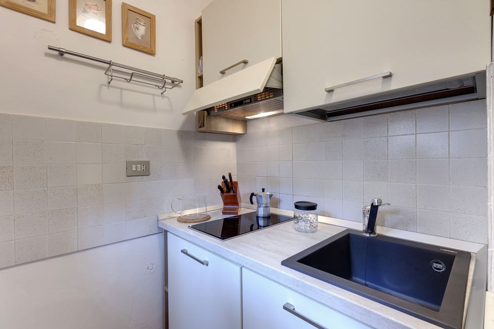 Apartment, 1 Bedroom | Private kitchenette | Fridge, microwave, stovetop, cookware/dishes/utensils