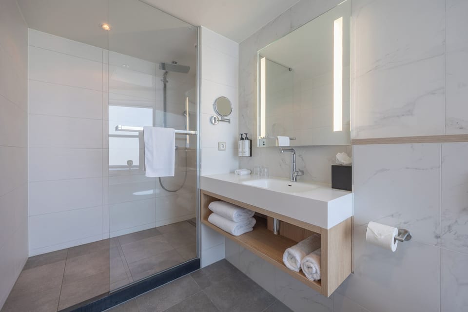 Premium Room, 1 King Bed | Bathroom | Shower, eco-friendly toiletries, hair dryer, bathrobes