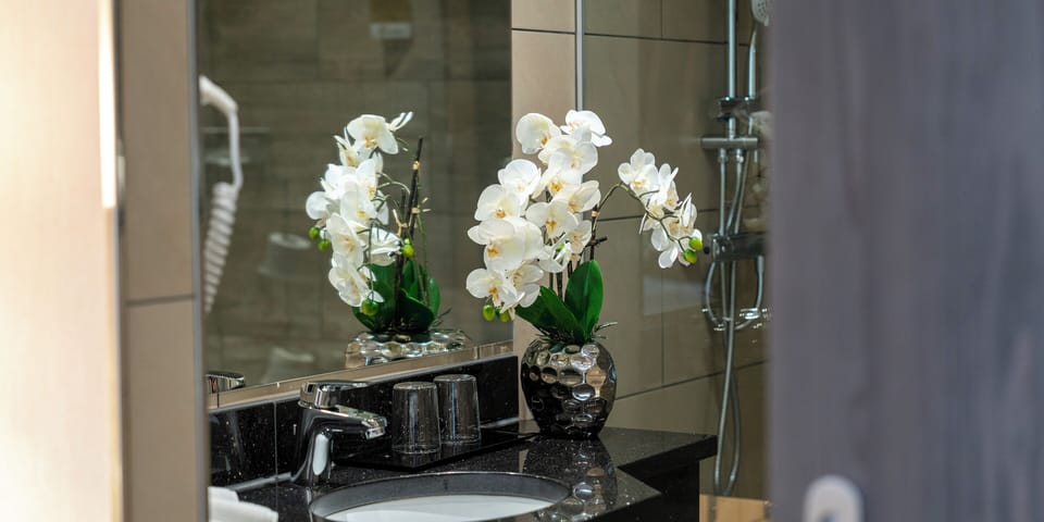 Comfort Triple Room | Bathroom | Shower, hair dryer, towels, soap