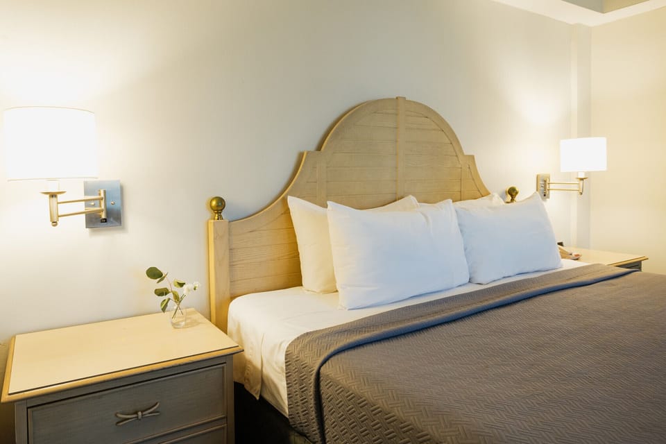 Basic Single Room | Desk, laptop workspace, iron/ironing board (on request), WiFi (free)