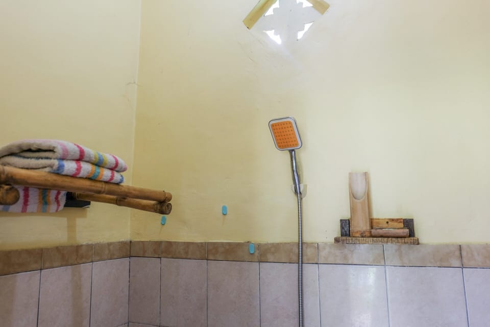 Family Room | Bathroom shower