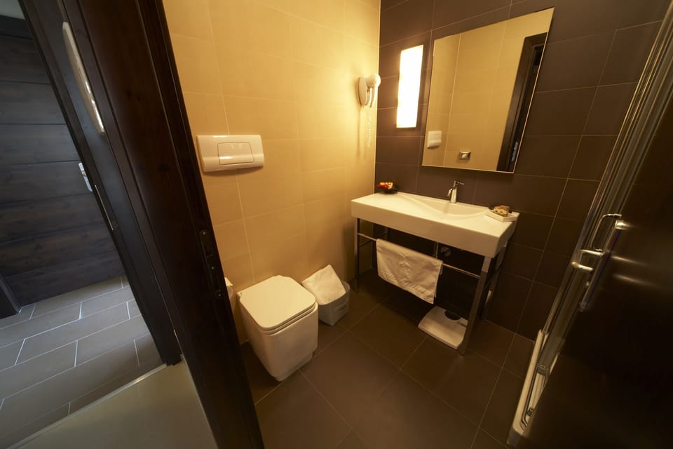Superior Double Room | Bathroom | Shower, free toiletries, hair dryer, bidet