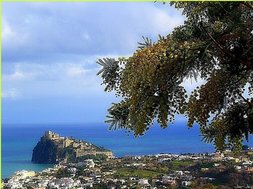 Apartment, 3 Bedrooms, Smoking, Terrace | Boating