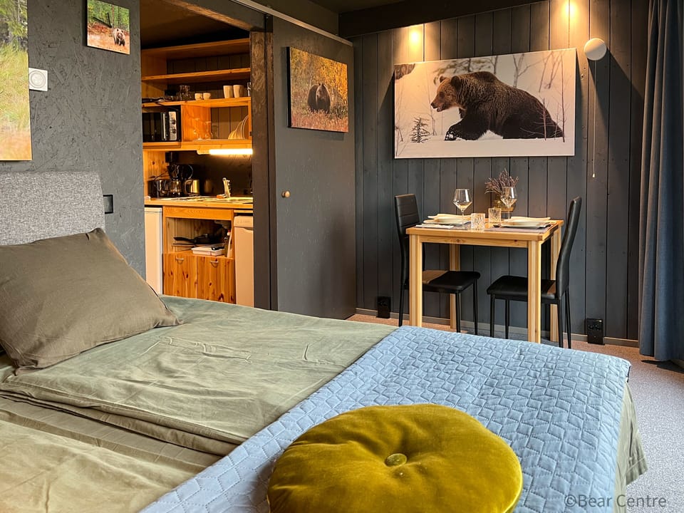 Bear Centre Apartment hotel in Finland