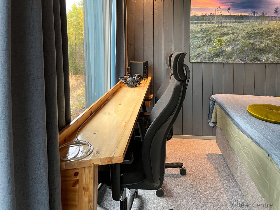 Luxury Cabin, 1 Queen Bed, Park View, Slope side | Living area | Heated floors