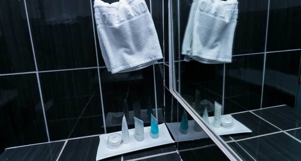 Deluxe Twin Room | Bathroom | Shower, rainfall showerhead, free toiletries, towels