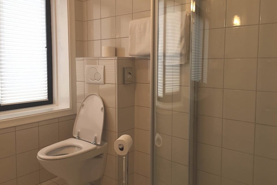 Shower, hair dryer, heated floors, towels