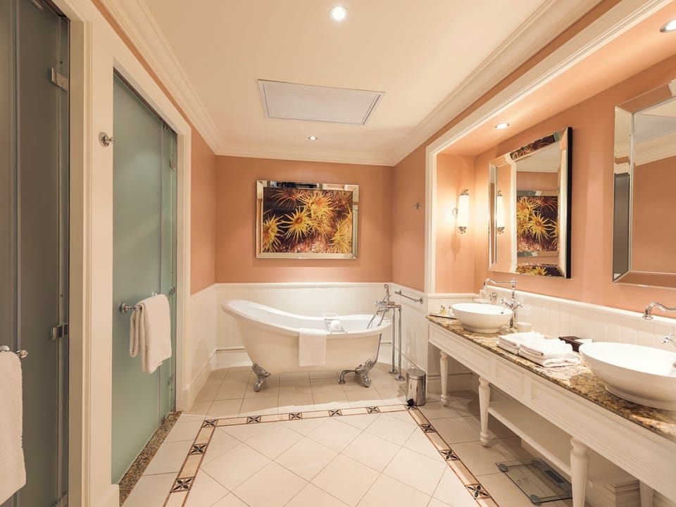 Separate tub and shower, free toiletries, hair dryer, towels