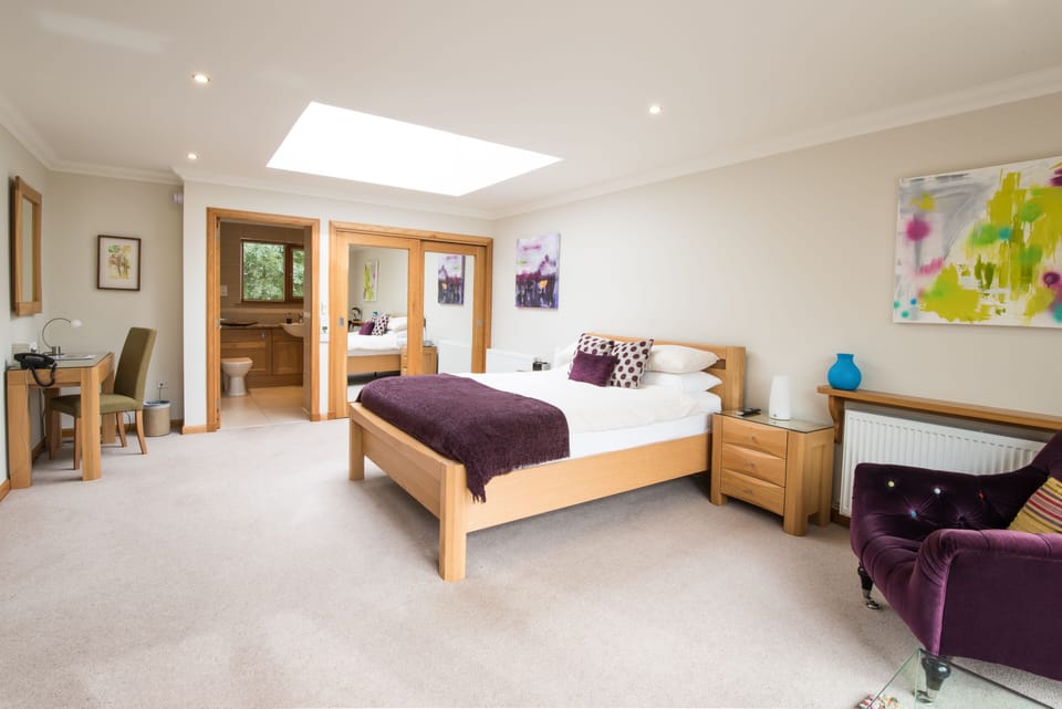 Executive Double Room | Individually decorated, individually furnished, desk, laptop workspace