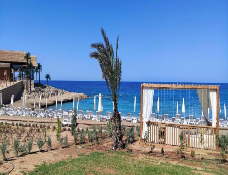 Apartment, 2 Bedrooms, Balcony, Mountain View | Beach