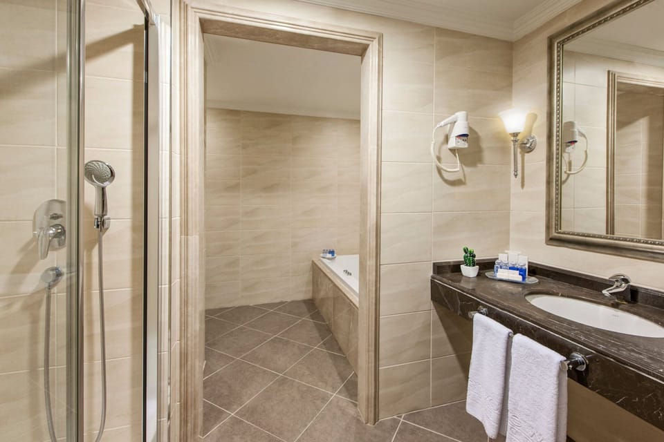 Suite with King Size Bed | Bathroom | Separate tub and shower, hydromassage showerhead, free toiletries