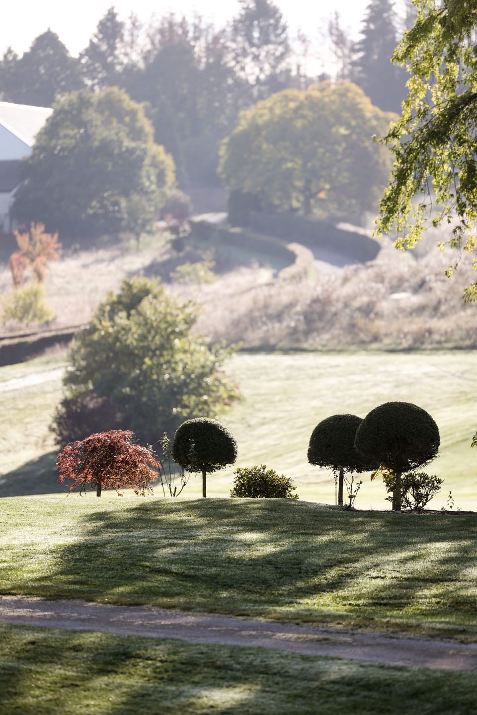 Superior Suite, 1 Double Bed | Golf view