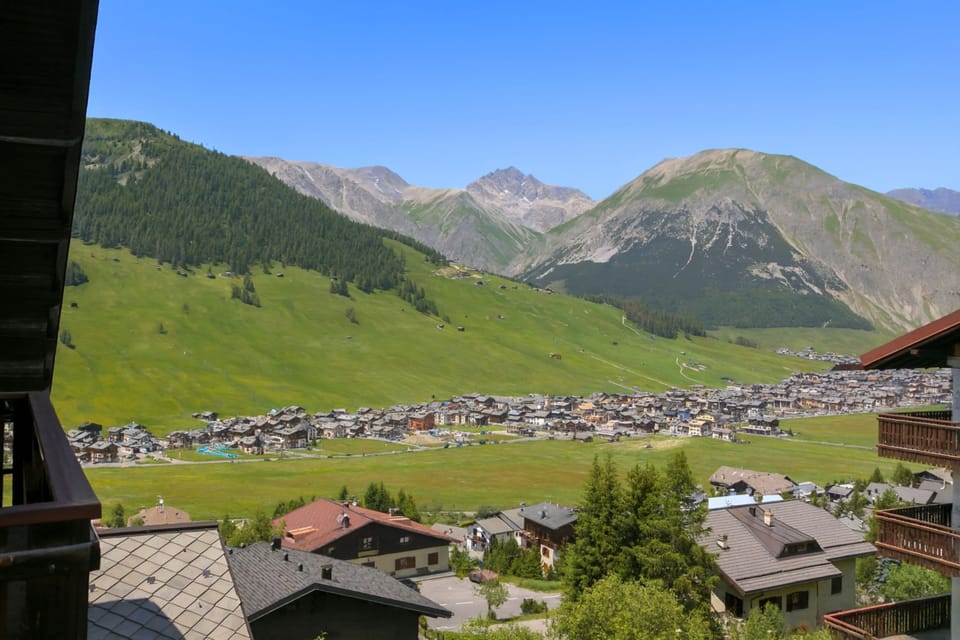 Family Apartment, 1 Bedroom, Fireplace, Mountainside (Arianna) | View from property
