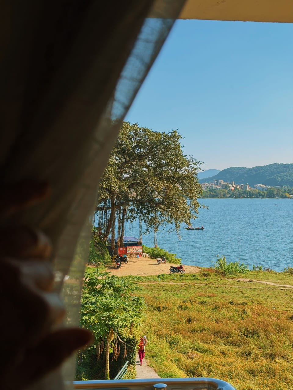 View from property