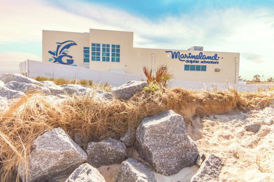 Condo (3 Bedrooms) | Property amenity