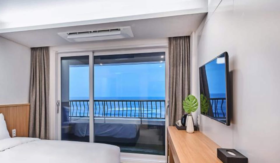 Beach/ocean view