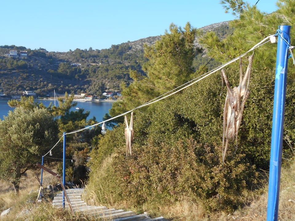 Apartment, 1 Bedroom, Balcony, Garden View | Exterior