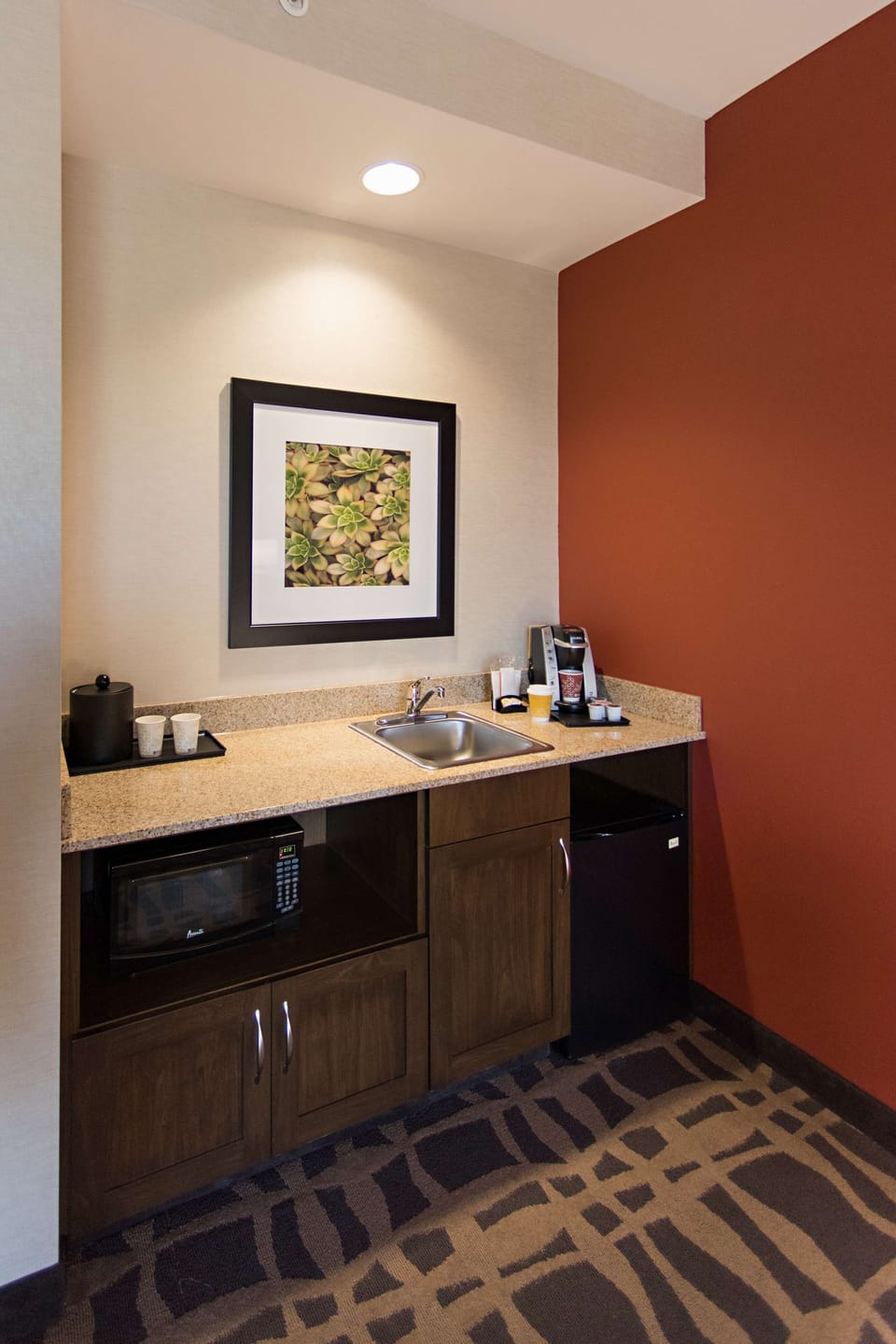 Fridge, microwave, coffee/tea maker