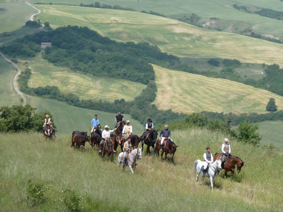 Horseback riding