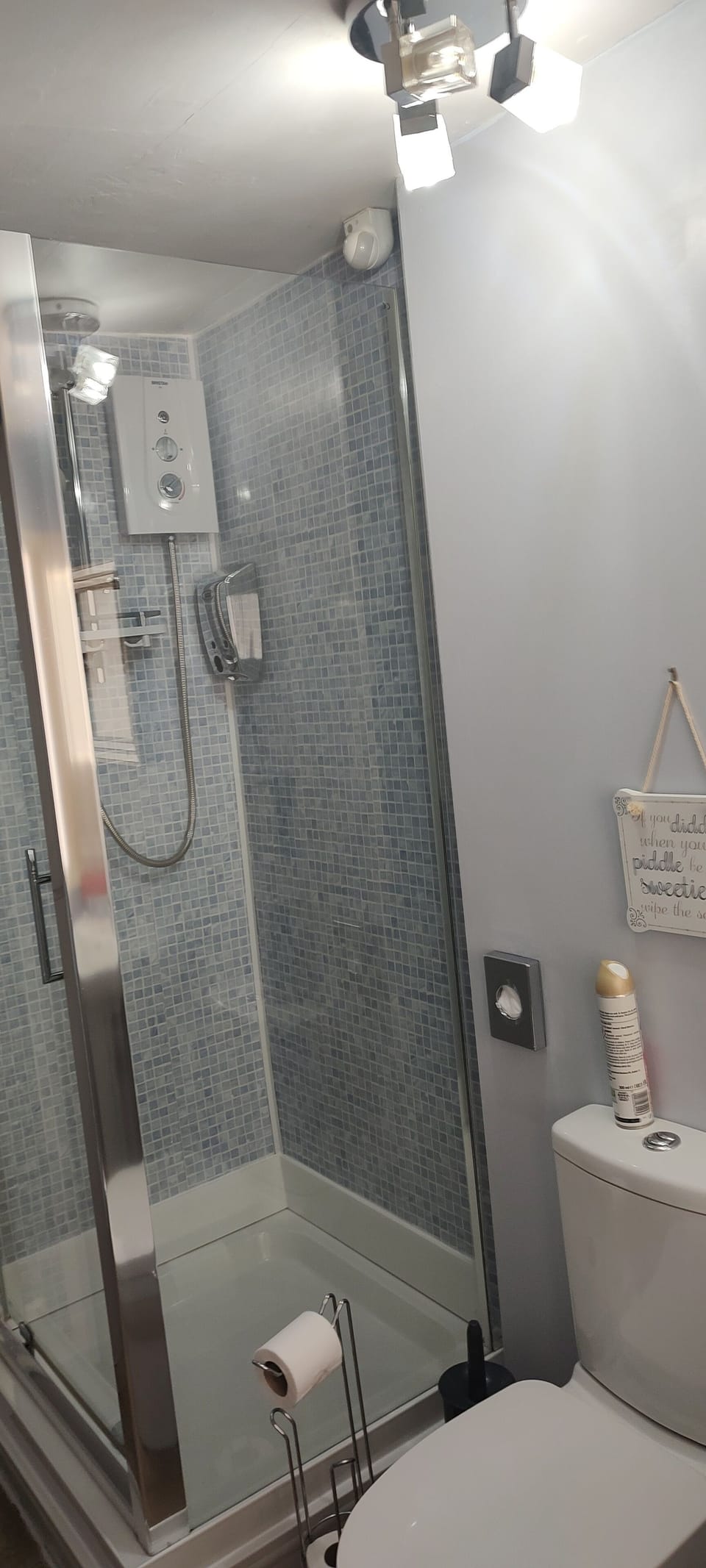 Family or Twin Room, Ensuite | Bathroom | Shower, hair dryer, towels, toilet paper