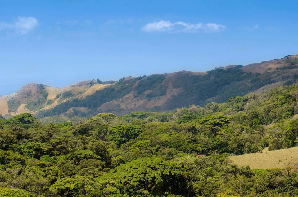 Land view from property