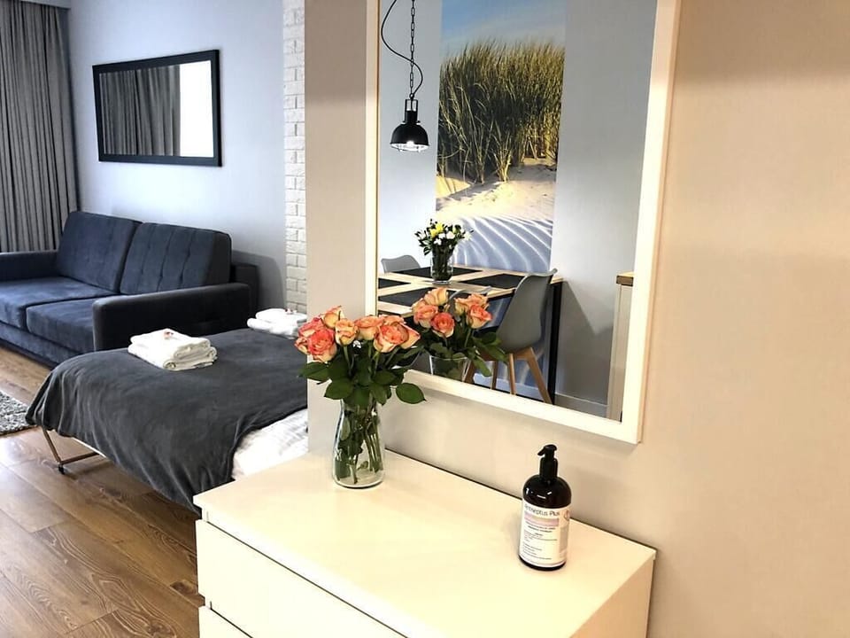 Apartment | Living area | Flat-screen TV