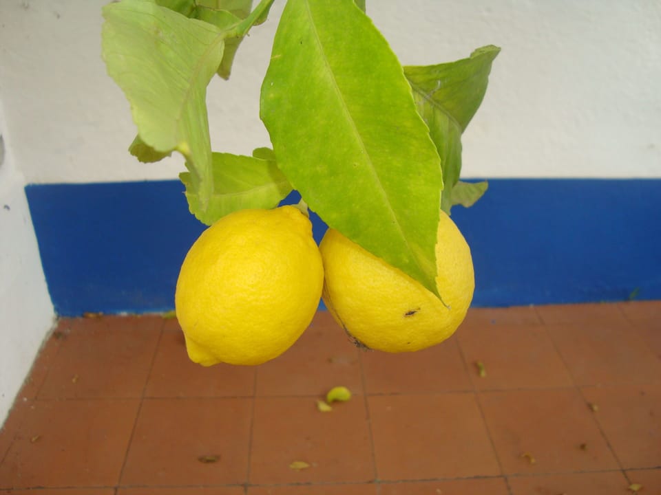 Monte da Serralheira, Agro-turismo Apartment hotel in Evora