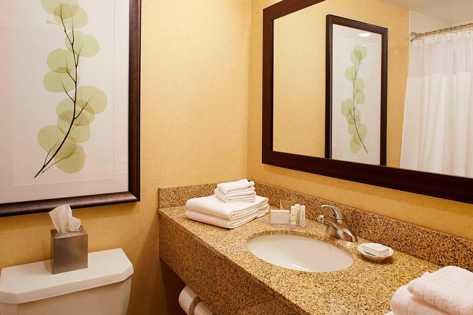 Hair dryer, towels, soap, shampoo