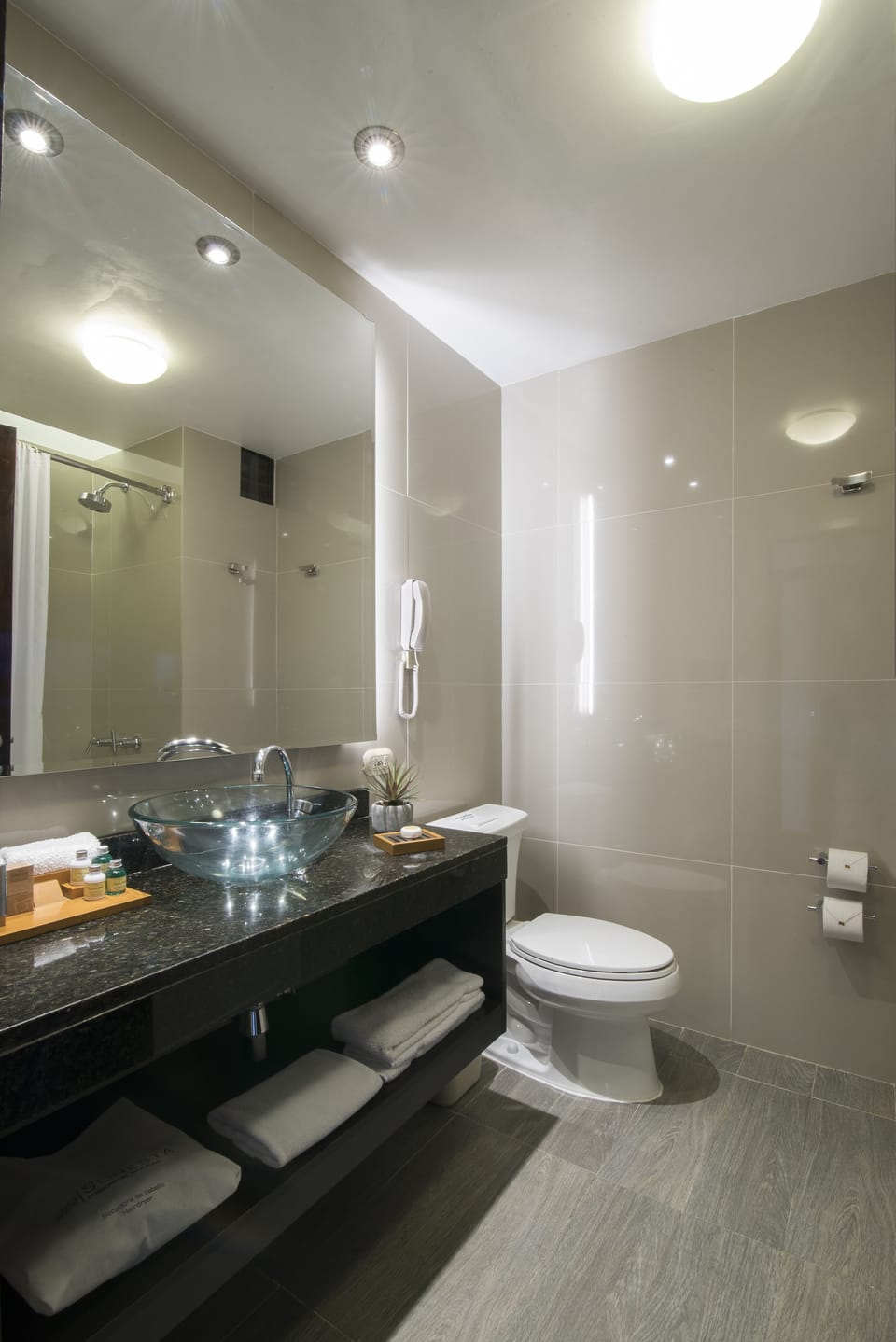 Double Room, 1 King Bed, Lake View | Bathroom | Shower, free toiletries, hair dryer, towels