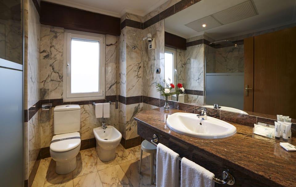 Bathtub, free toiletries, hair dryer, bidet