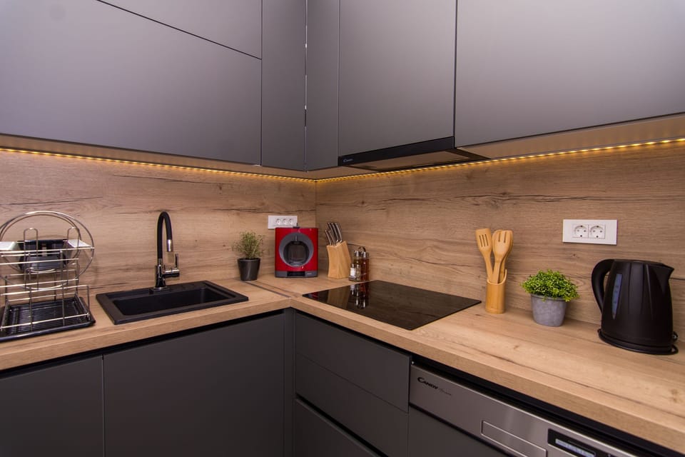 Apartment (A1) | Private kitchen | Fridge, microwave, stovetop, dishwasher