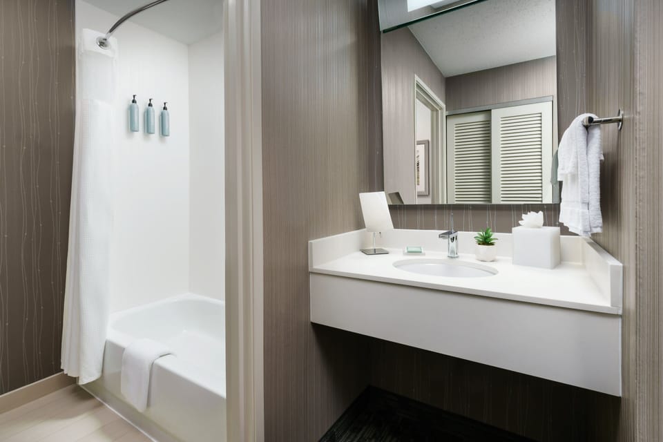 Combined shower/tub, free toiletries, hair dryer, towels