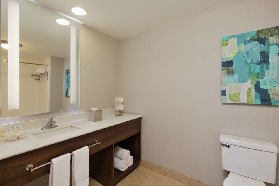 Combined shower/tub, free toiletries, hair dryer, towels