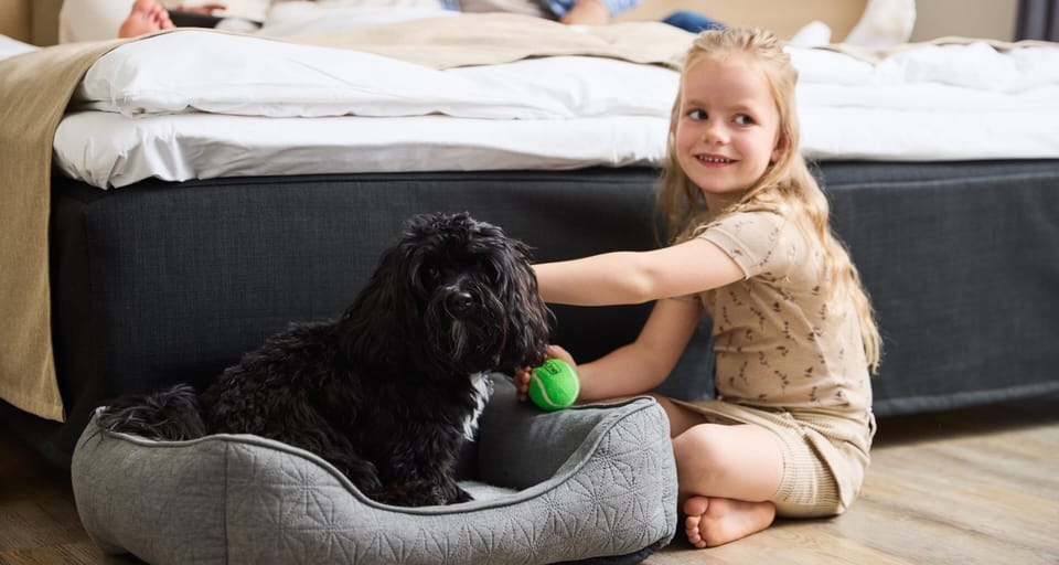 Pet-friendly