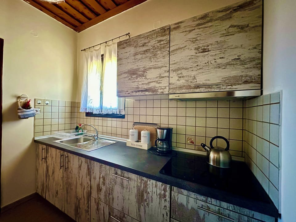 Standard Apartment, 1 Bedroom, Garden View | Private kitchen | Fridge, stovetop, coffee/tea maker, electric kettle