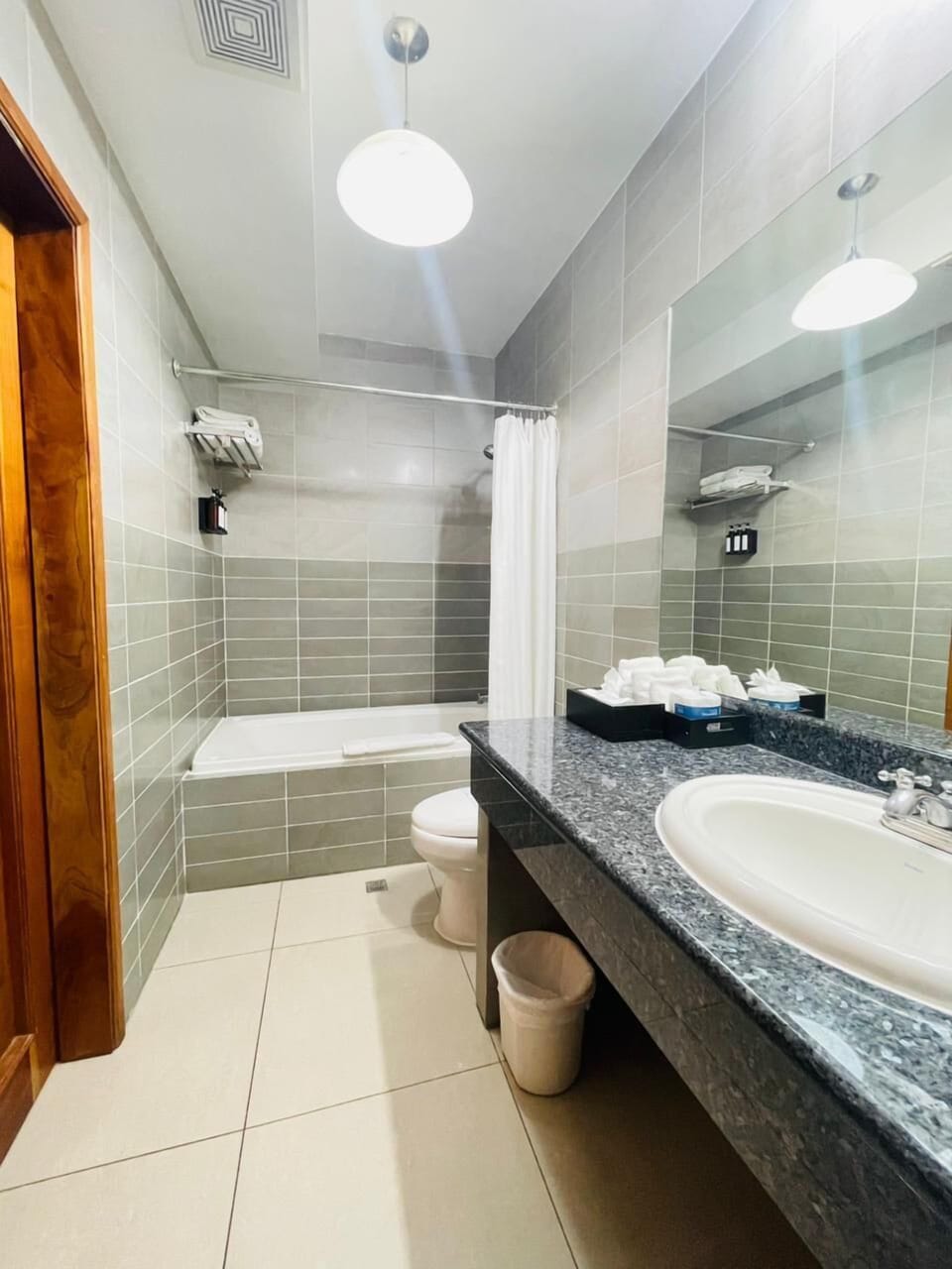 Business Apartment, 1 King Bed, Non Smoking, Mountain View | Bathroom | Free toiletries, hair dryer, towels