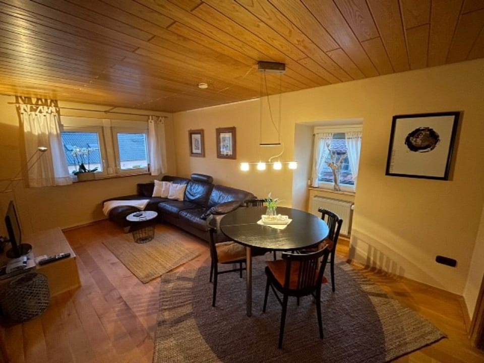 Apartment | Living area | 32-inch TV with satellite channels, DVD player